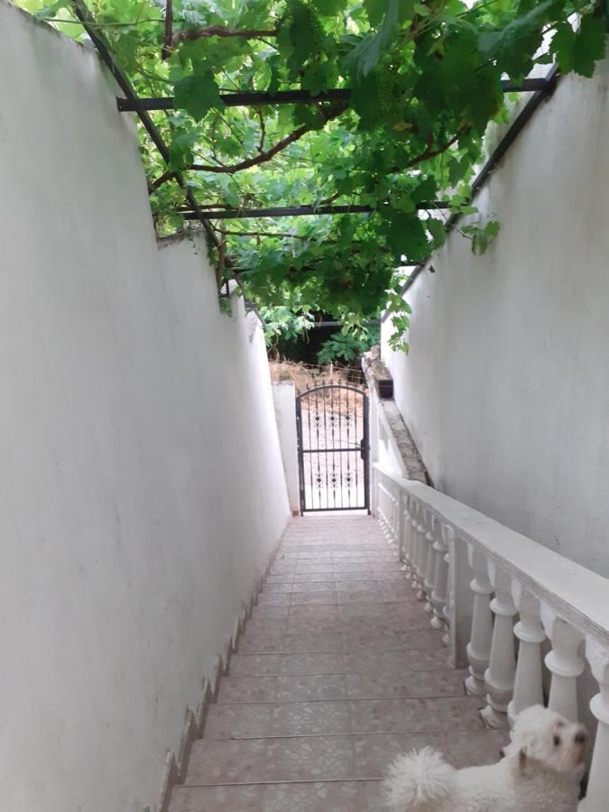 Guest House Cvoro ヘルツェグ・ノヴィ 部屋 写真